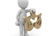 半工半读是什么生肖的警惕虚假宣传-全面释义、构建解答解释落实
