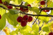 【昆山疫情最新消息实时/昆山疫情最新消息实时动态】