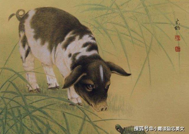 投机取巧，盍兴乎来，贪会变贫叹活该是什么生肖全面释义、专家解答解释落实